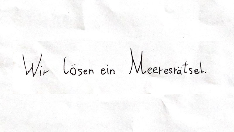 Meeresprojekt: In einem umfangreichen Projekt zum Meeresschutz untersuchten die Schülerinnen und Schüler unter der Leitung von Mandy Scholz verschiedene Aspekte des Ökosystems Meer: